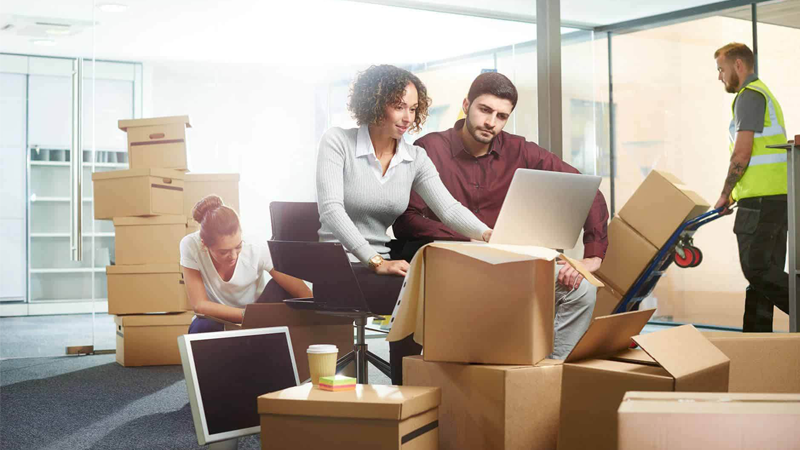 Packers And Movers Noida Sector 11